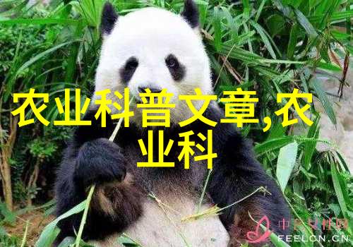 茶艺探索深入了解中国传统饮茶文化