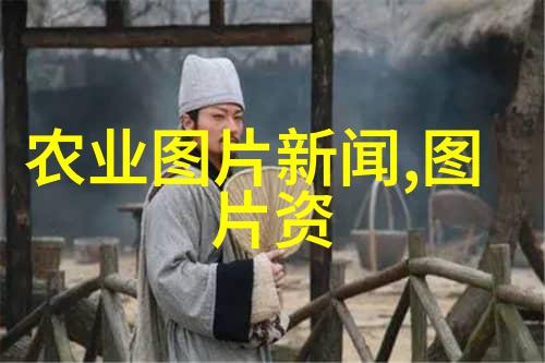 好养的多年生草本花卉大全哪些品种适合初学者