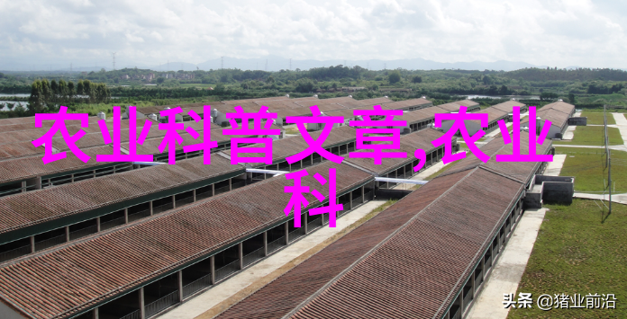 什么因素决定了一个地区是否适合开展休闲农业和乡村旅游项目