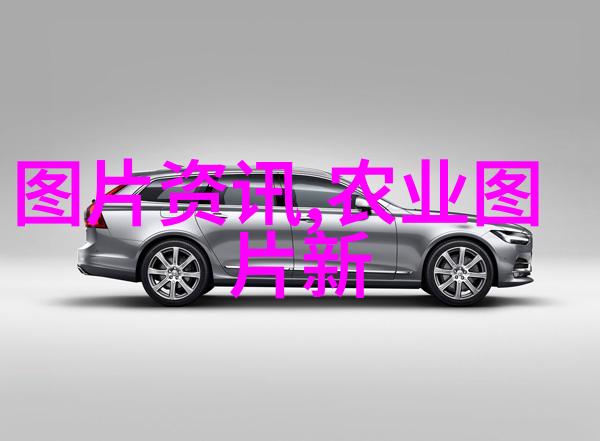 现在种植什么最赚钱一年见效-财源滚滚最新一年的高回报作物选择