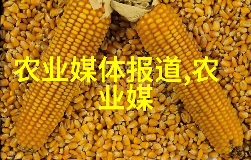 常州花木市场批发市场这里的花开得太美为什么却藏着这样一段不为人知的故事