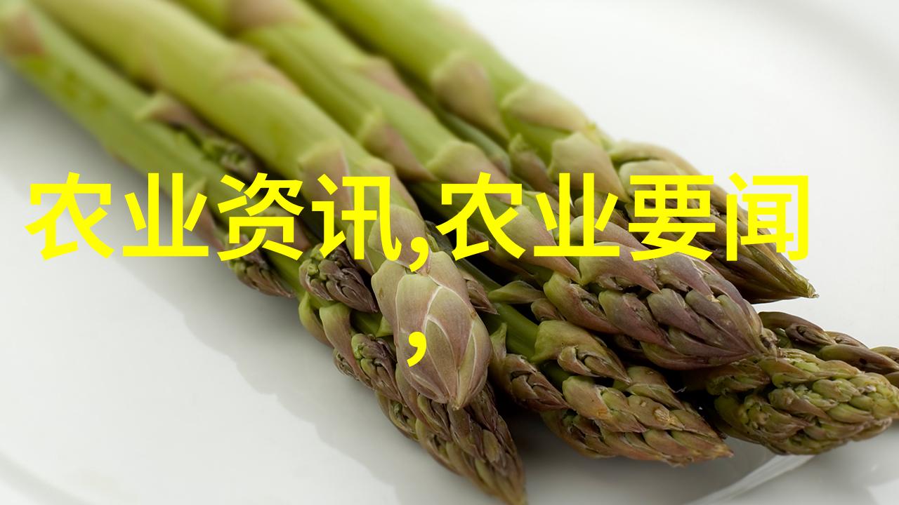 绿意盎然的家居美学10种让家园焕发生机的植物佳选