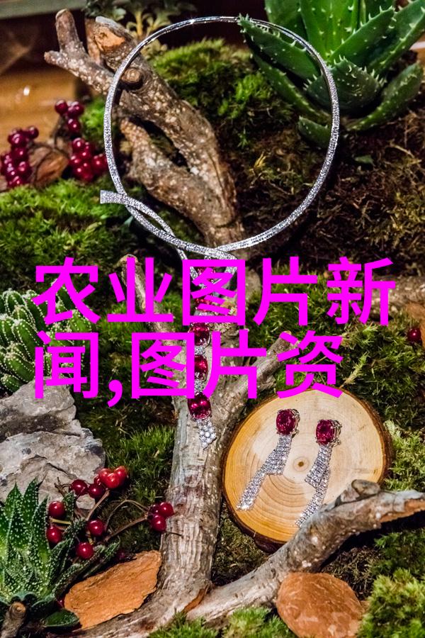 四川宜兰探索四川最适合种植的优质作物