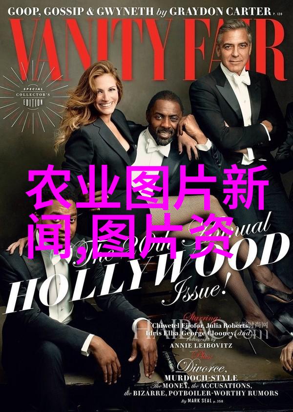 冬日奇迹哪些花卉能在寒风中绽放