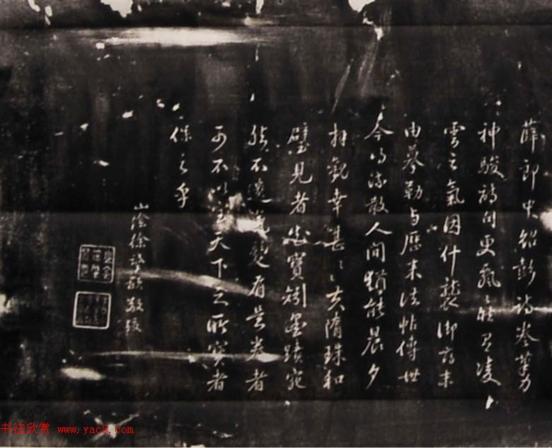 探寻绿意盎然的便宜之地盆栽花卉批发市场攻略