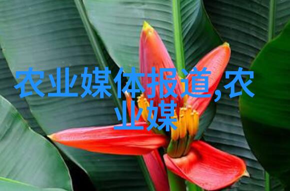 农业的五种基本类型耕地种植收获畜牧和林业