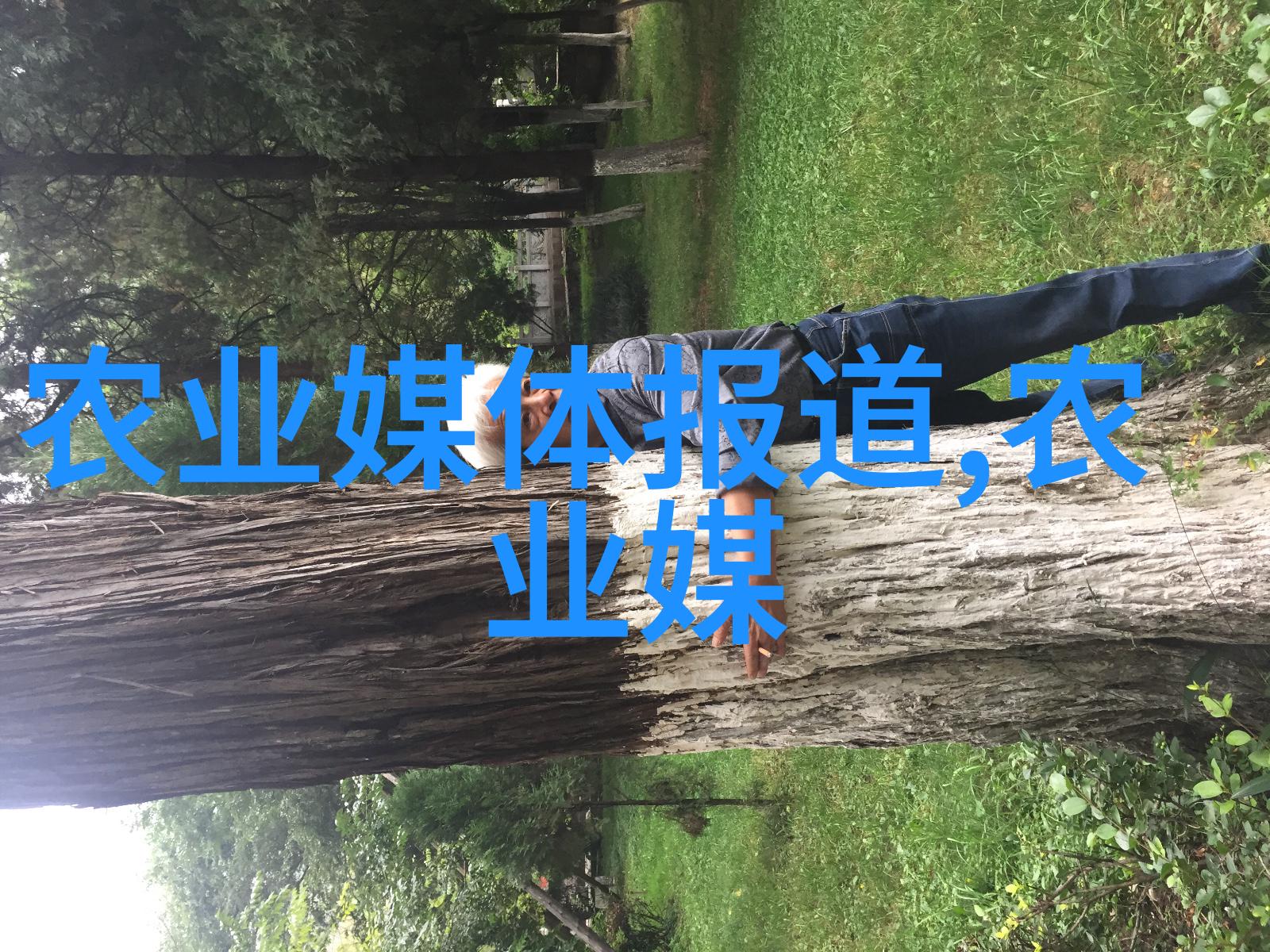 荒野生长的美味从未知到餐桌的野菜奇遇