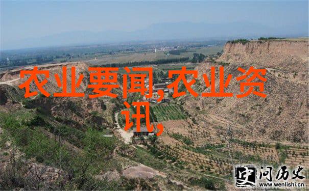 大棚花卉种植技术培训我来教你怎么让你的花朵在冬天也能绽放