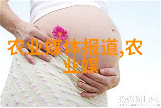 花开前夕一份未知的种植秘密