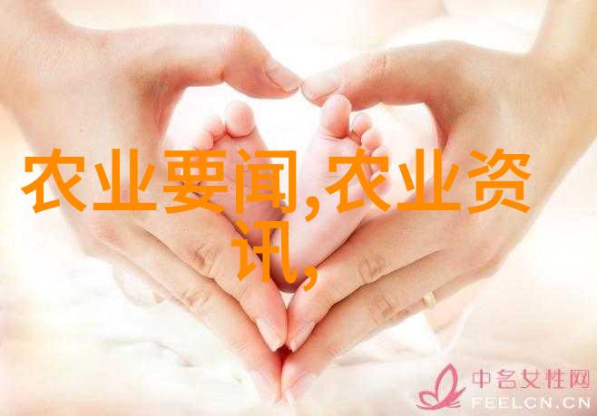 在家中安装木工机械需要注意哪些安全问题