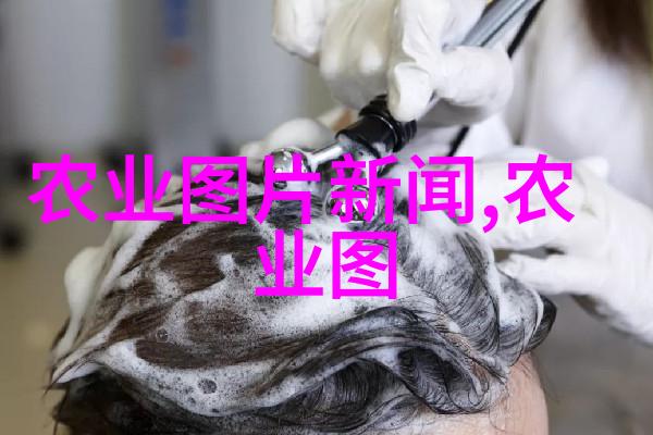 民法典2021全文解读与实践指南