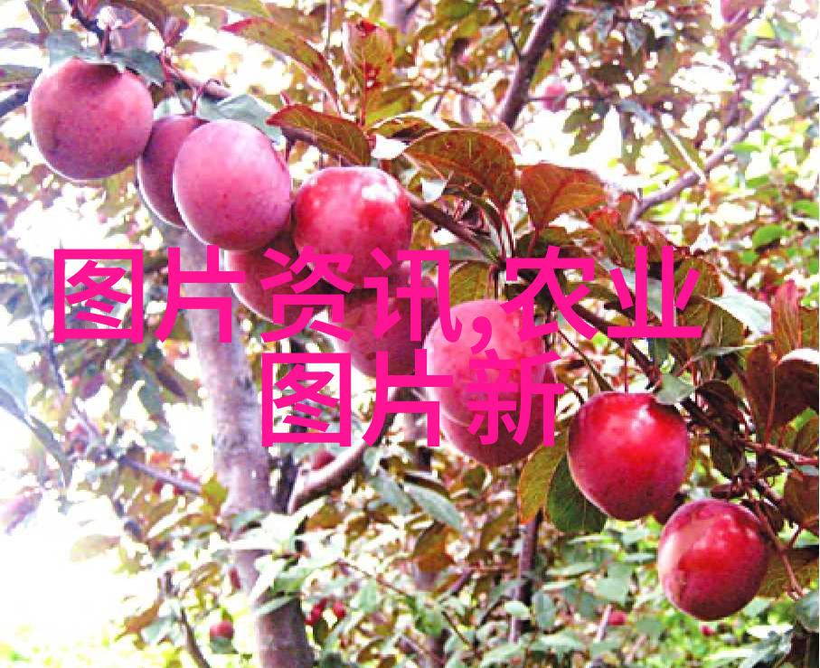 如何科学地治疗疙瘩头