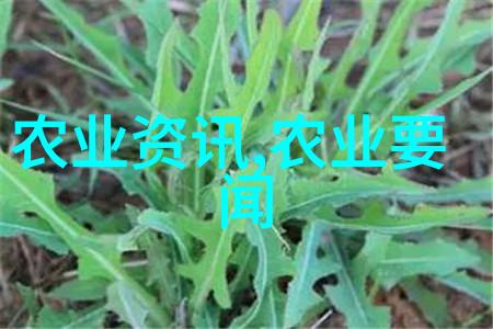 民法典更新解析新版规则如何影响您的生活