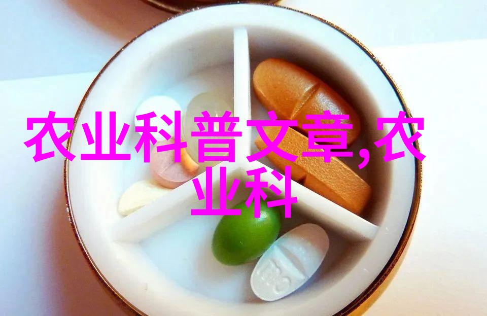 农机化信息网官网构建现代农业智能服务平台的理论与实践探究