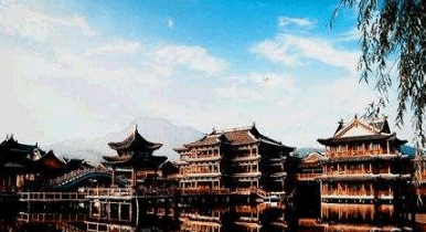 家庭养花园室内绿洲的创意之旅