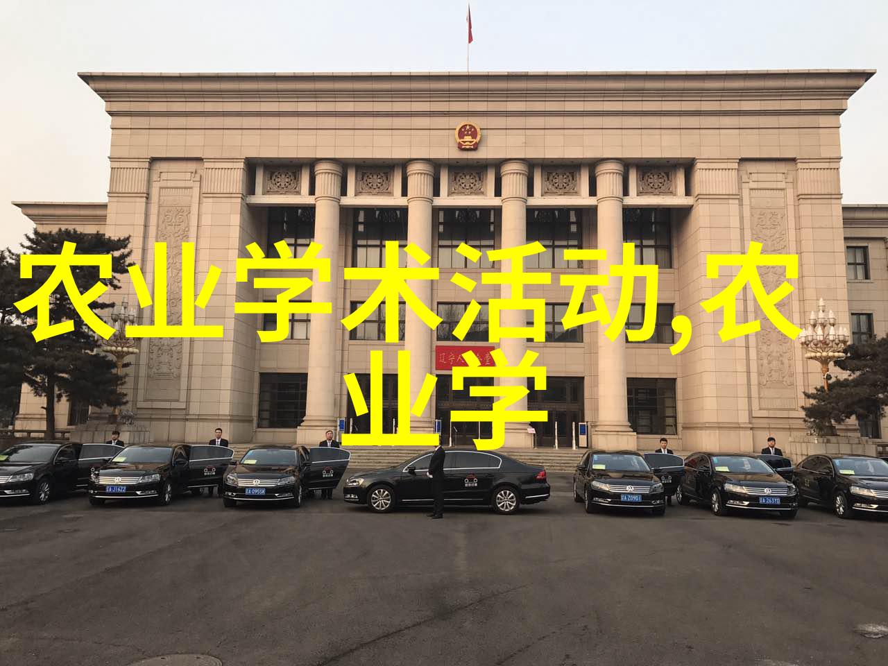 金钱滋润的园丁探索最赚钱又销路不匮的种植之道