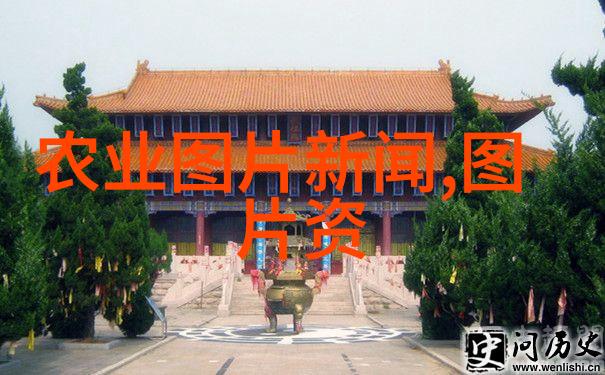 从零到英雄桑黄种植新手该如何操作