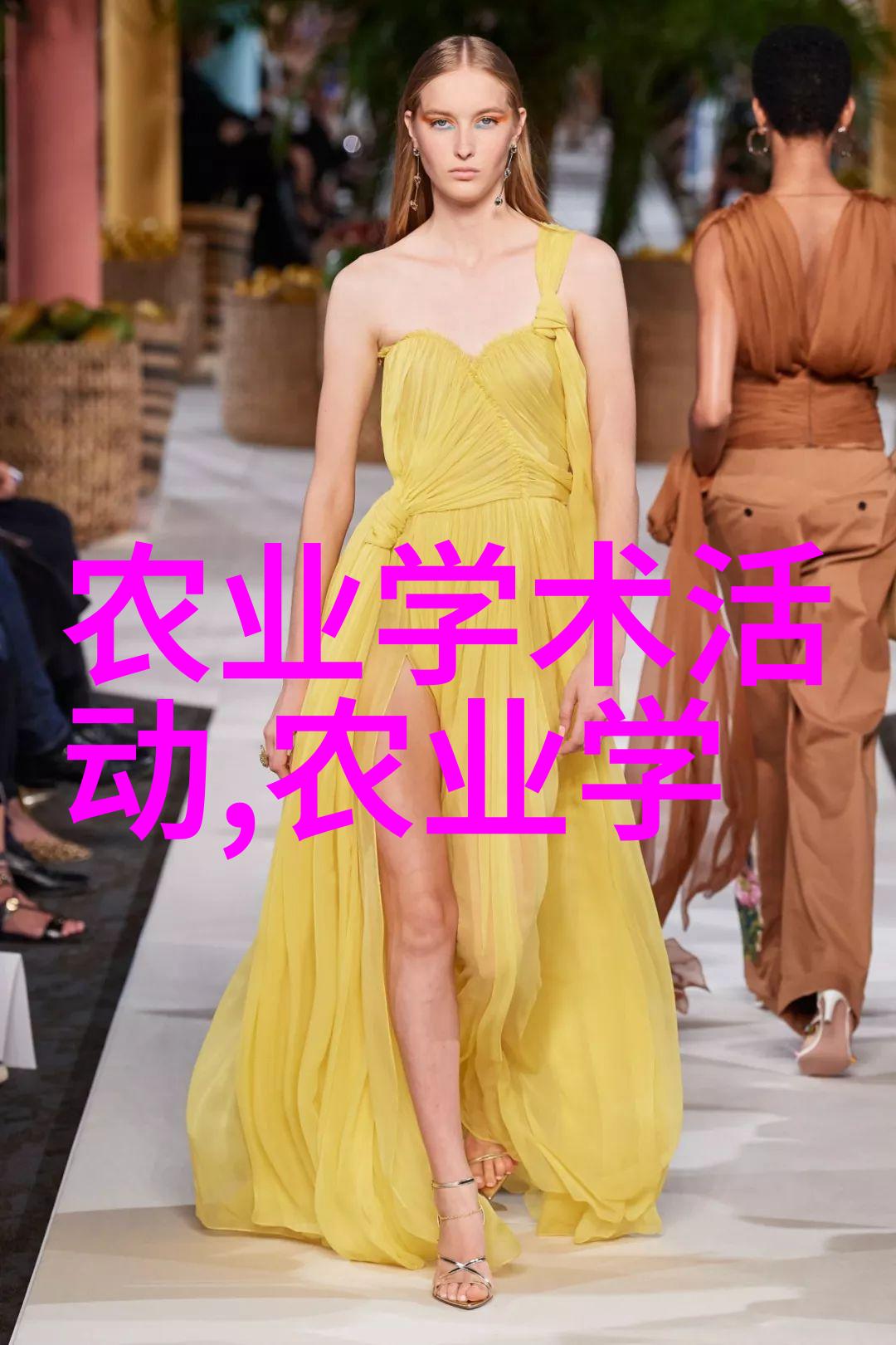 教育公众意识通过社区活动促进水土保护行动