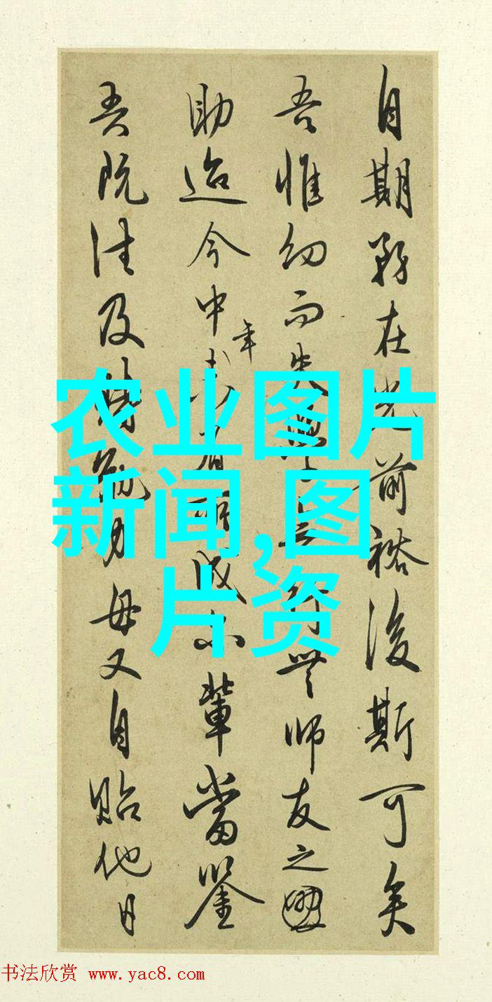 蜂蜜百科甜蜜的源泉与健康之冠