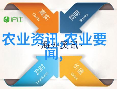 简约风格下的装饰性植物选择探讨只有一个最佳之选