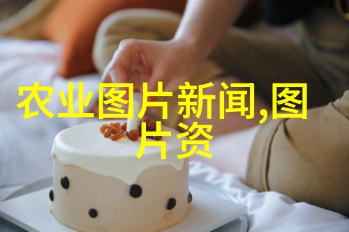 活塞与油泵之间的关系是什么