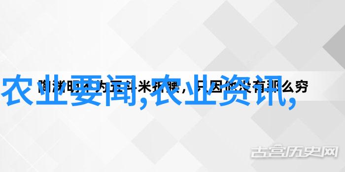 蔬菜种子网从土豆到辣椒网上种下笑声