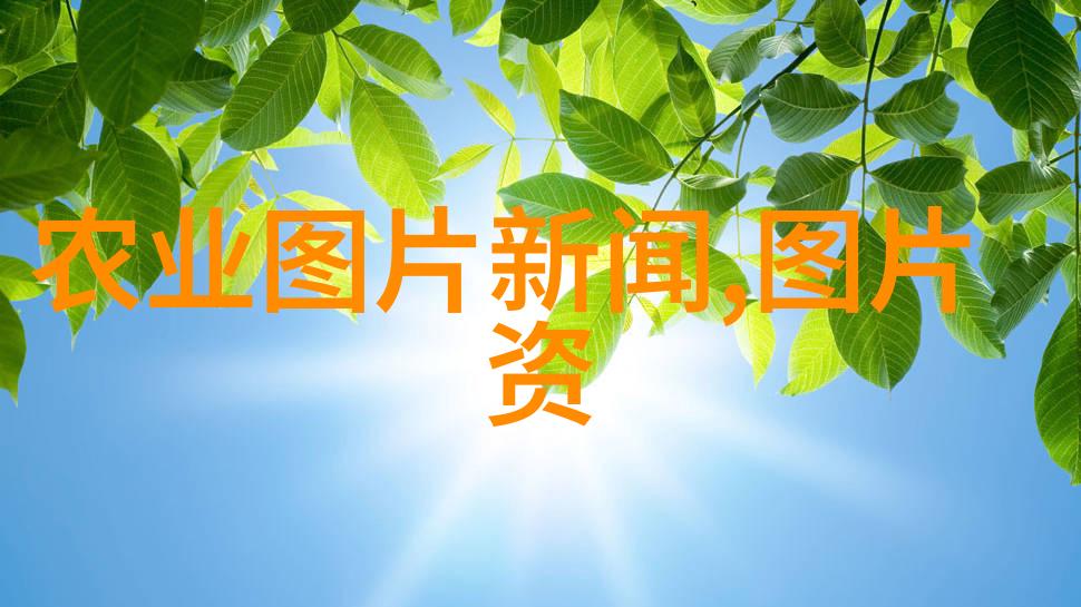 开花的秘密揭秘最容易种植的水果之选