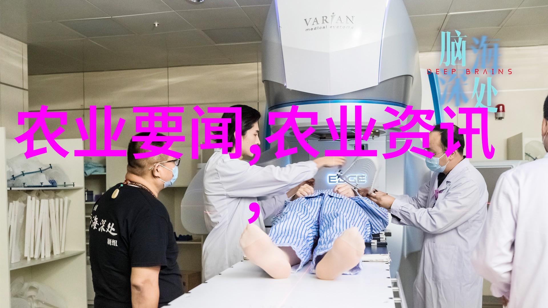 稻谷烘干机新时代的农业机械革新者