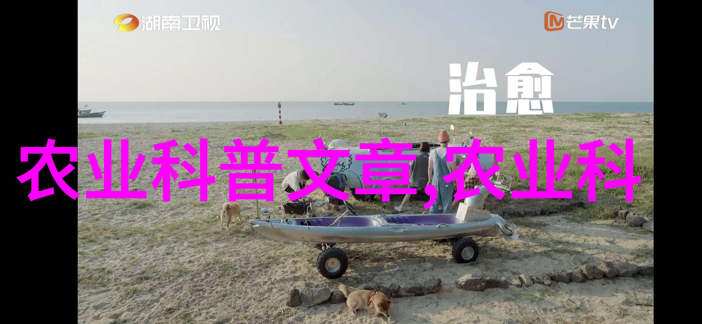 如何通过智慧养殖致富