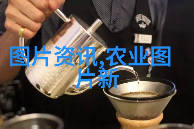 春耕夏收蔬菜园艺的日历指南