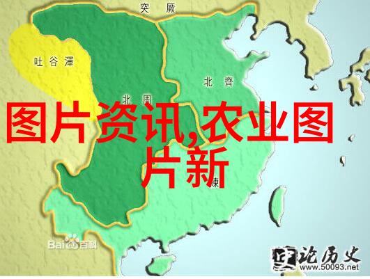 我去野外探险的日子亲眼见证那些栩栩如生的野生金线莲图片