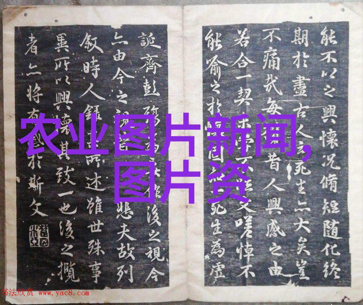 农民专业合作社共享发展的新路径