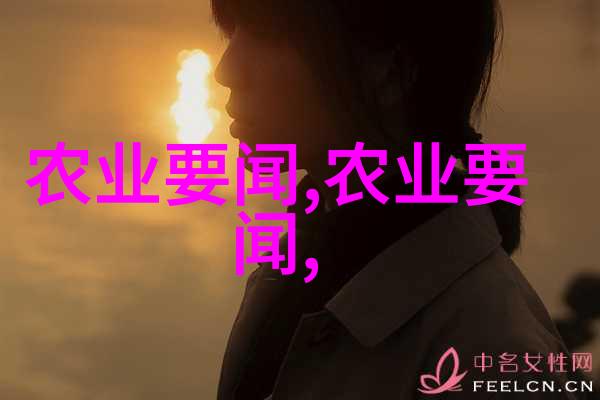 生态与科技并行新一代养中蜂蜂箱有哪些特点