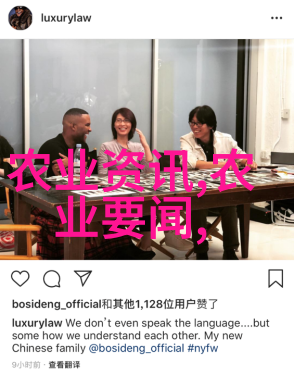 高效药材种植-一亩之地一年之收揭秘5万收入的药材种植秘诀