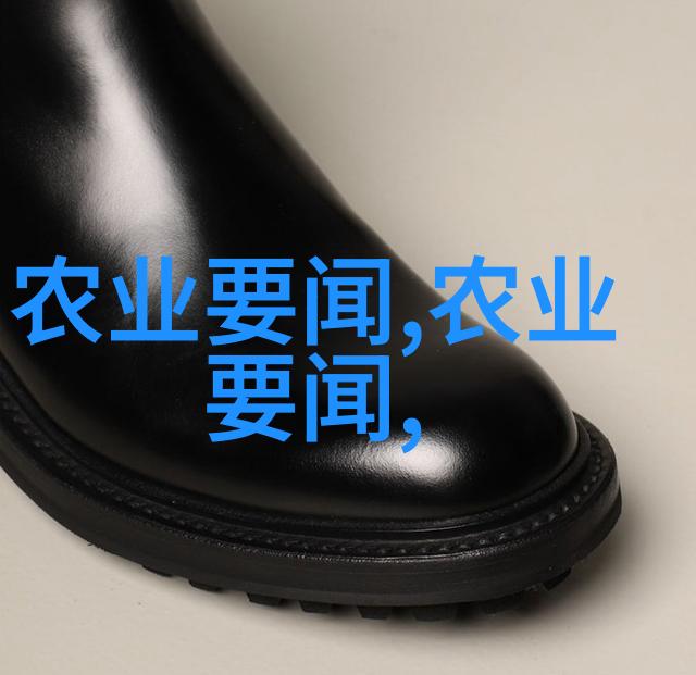 蔬菜大棚的绿色之美探索现代农业的新篇章