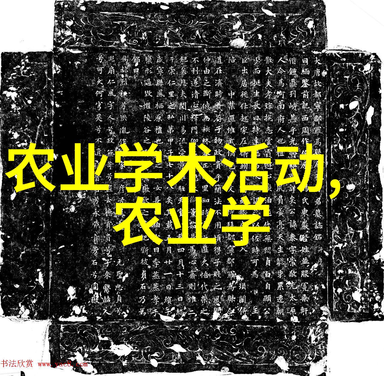 乙草胺我的抗癫痫英雄