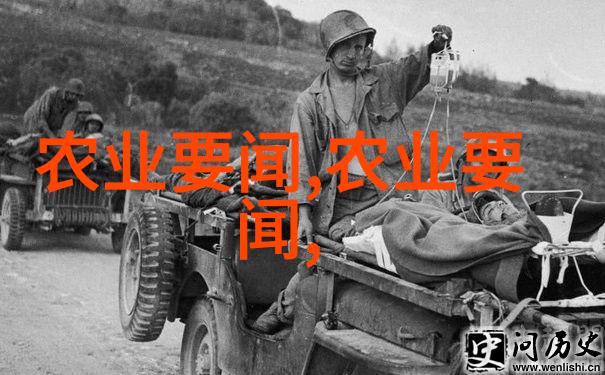 农村佳作丰收的秘密花园