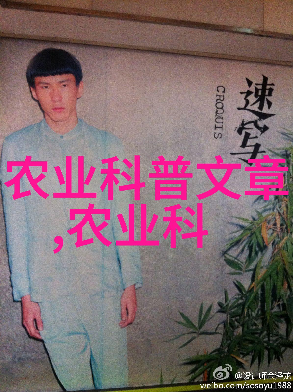 哀家探索家庭离散与复合的现代人生