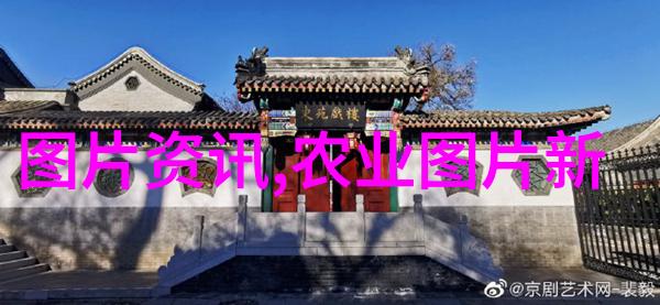 中药材最好的交易平台-精准配送探索中国中药材市场的数字化革命