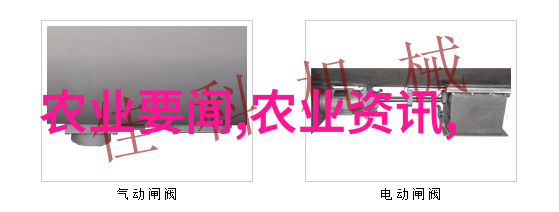 镜头背后的甜蜜与尘埃真实家庭水果照片的反差