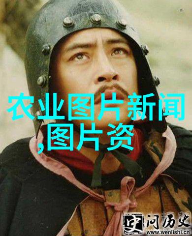 牧场上的守望者牛羊的日与夜