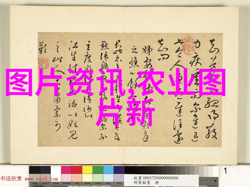 毕业证之谜大专学子如何揭开成就的秘密