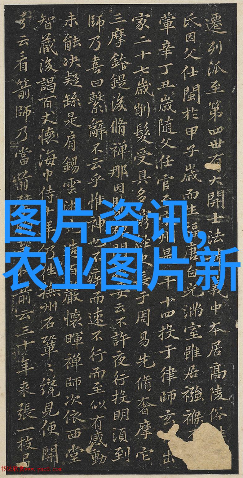 羊群管理与饲养技巧的提升