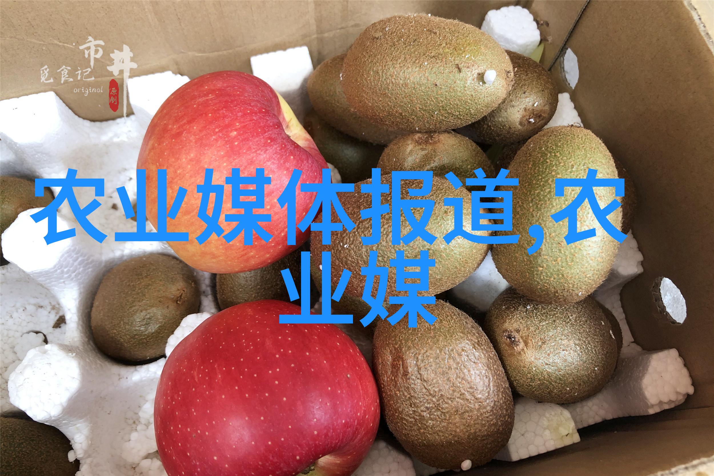 农业的由来-从野草到丰收探索人类社会最古老的食物来源