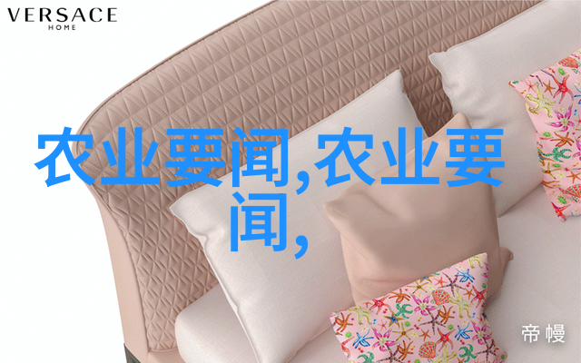 探索蜜蜂的世界养殖工具有哪些神秘工具