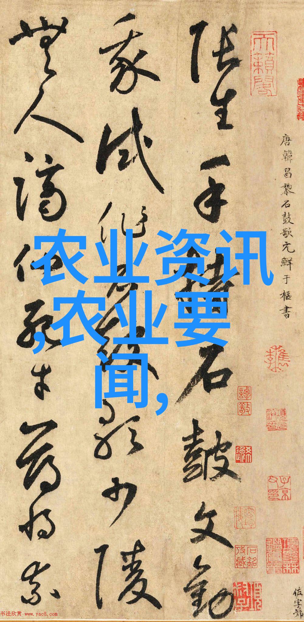 种籽的秘密揭开水果世界的奇妙面纱