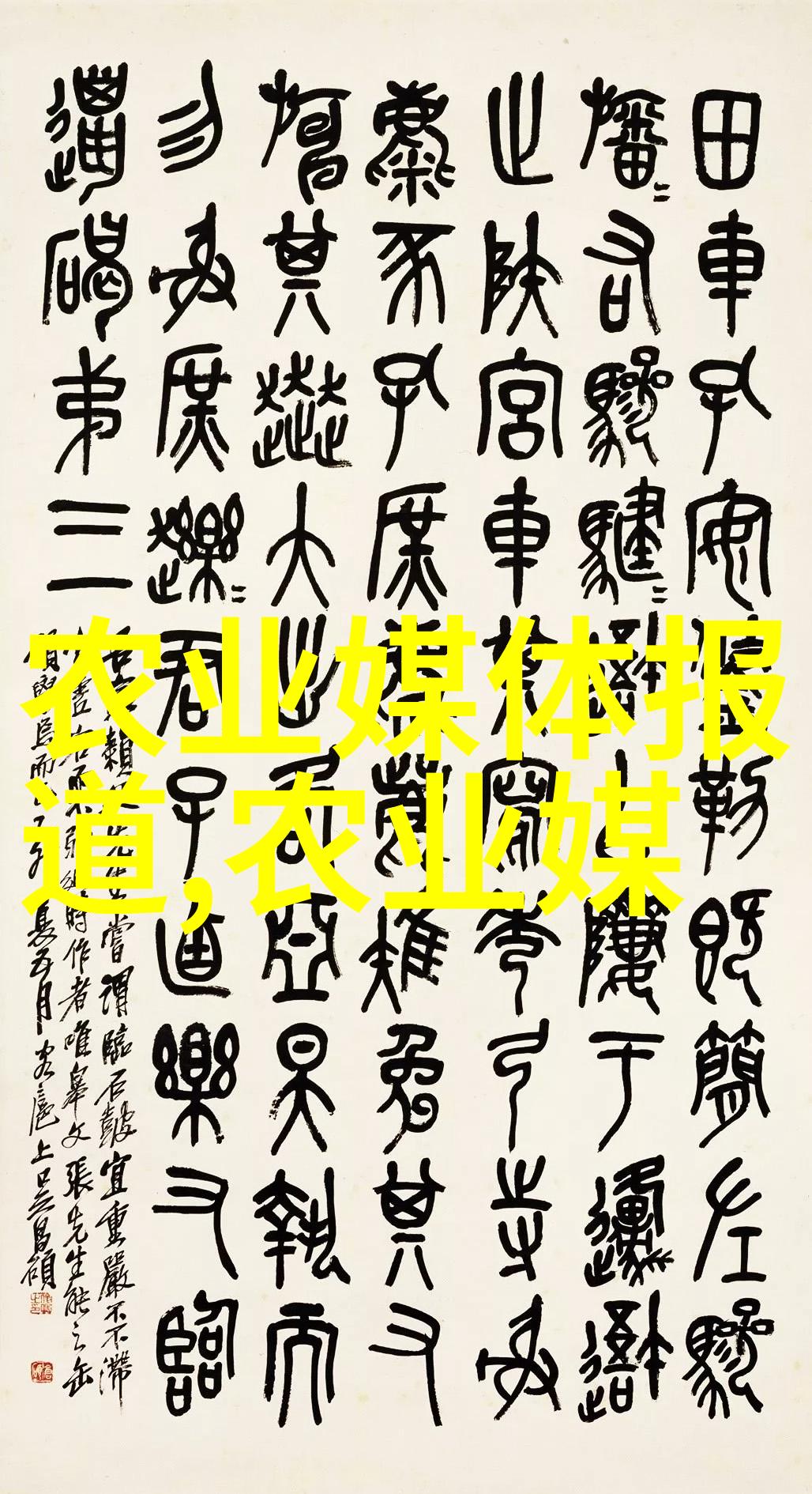 用户反馈如何有什么改进建议吗