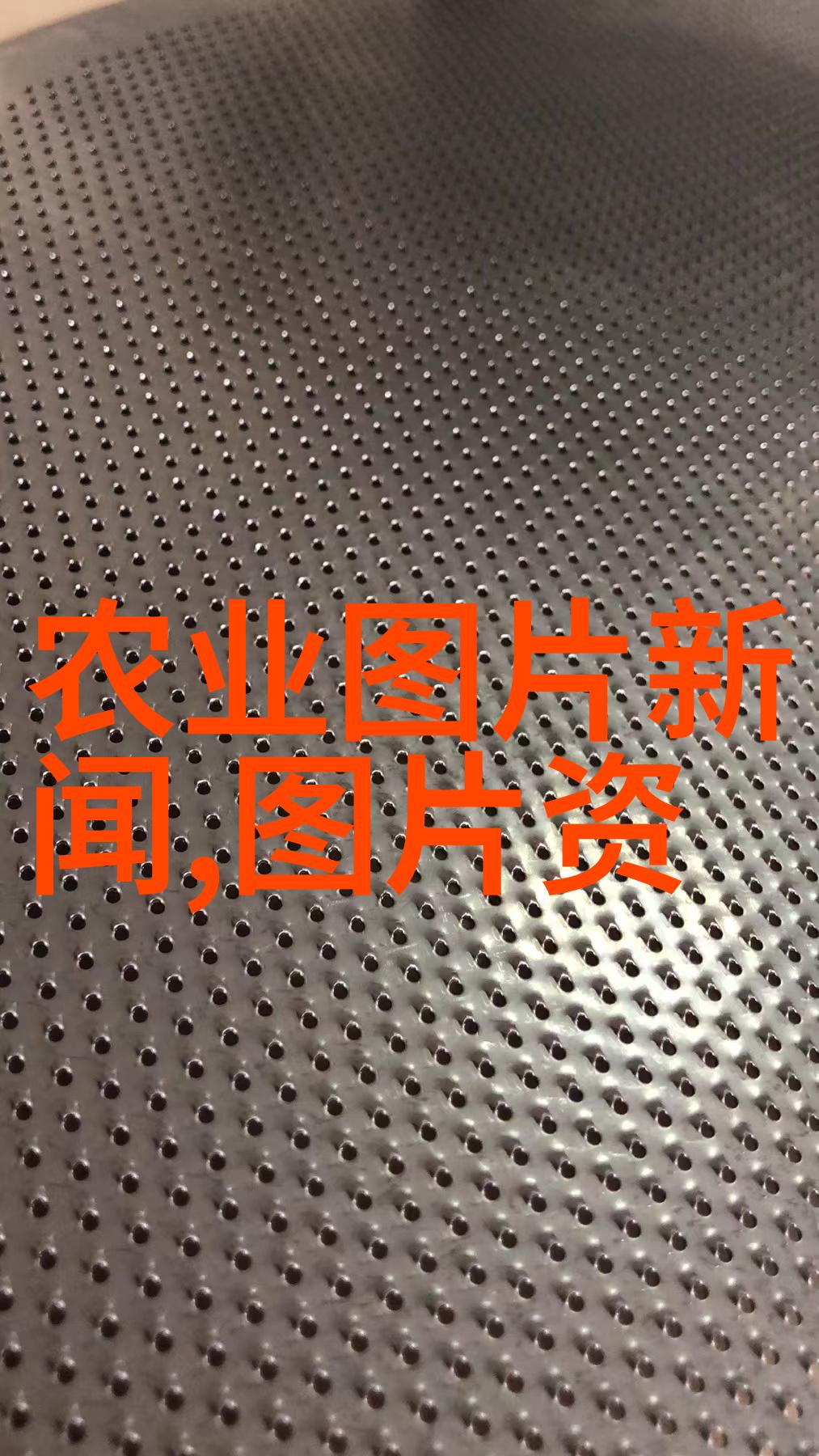 普洱