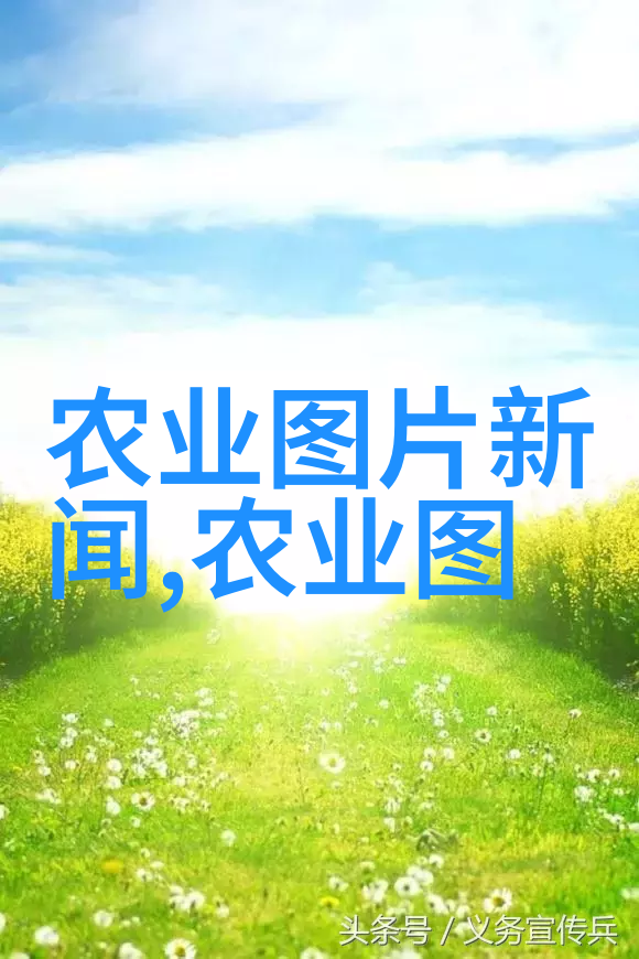 春日绽放2个步骤让你轻松种植花卉