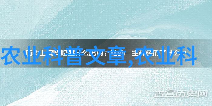 20岁末年禁止观看我都看过那些不该看的东西了